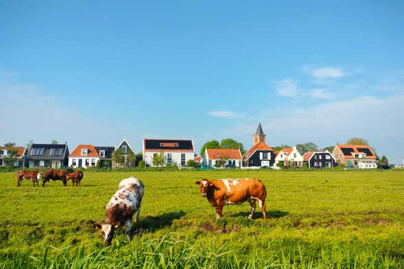 Dutch Countryside Bike Tour